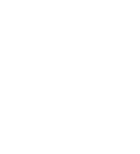 leo art